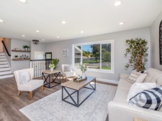 estate-elegant-flat