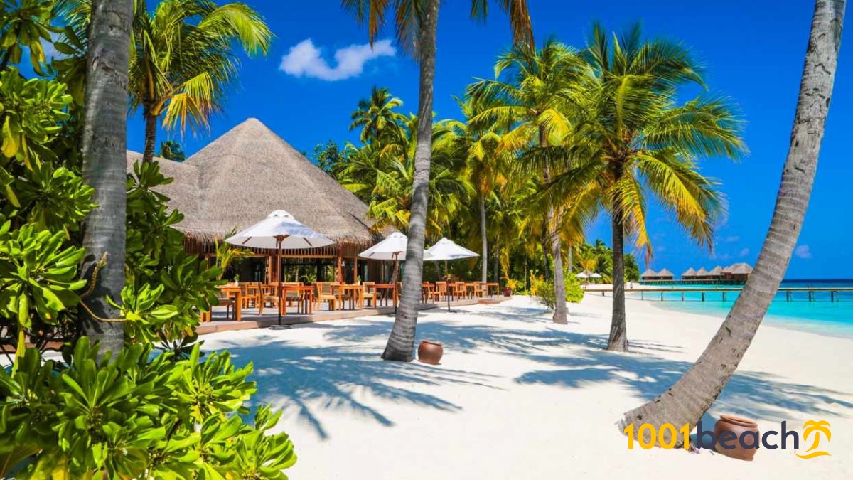 Unlock a Prime Investment Opportunity in Paradise!