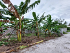 🌴 Prime main road Corner Land for Sale – L. Gan 🌴
